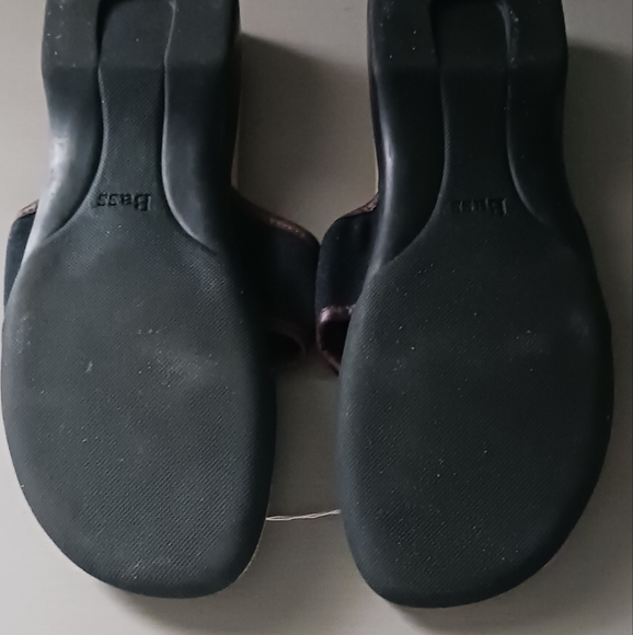 BASS - Picture 6 of 6